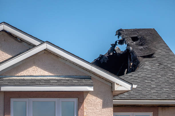 Top rated local Soot Cleanup specialists in Forest Hill, TX